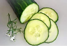 Segar dan Sehat: 5 Pilihan Sayur Tinggi Air untuk Hadapi Cuaca Panas