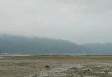 Kabut Asap di Kaimana Meningkat, Damkar Ingatkan Warga Tak Bakar Lahan