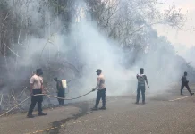 Karhutla Wermura Kaimana Berhasil Dipadamkan, Polisi Imbau Warga Tak Bakar Lahan