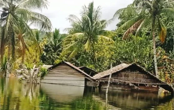 BPBD Kaimana Laporkan Belasan Rumah Terendam Danau Meluap