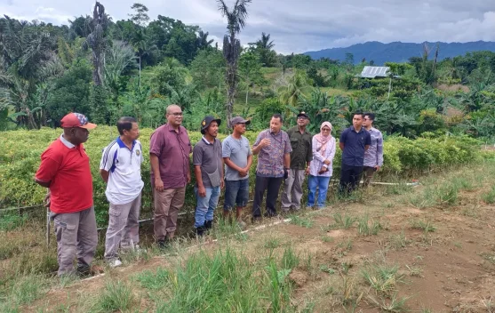Satgas Pangan Pantau Stok, Kaimana Jaga Ketahanan Nasional