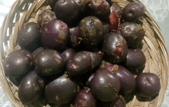 Menilik Manfaat Si Cantik Kentang Ungu untuk Kesehatan
