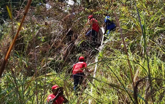 Damkar Kaimana Berhasil Padamkan Kebakaran Hutan di Jalan Sapta Taruna