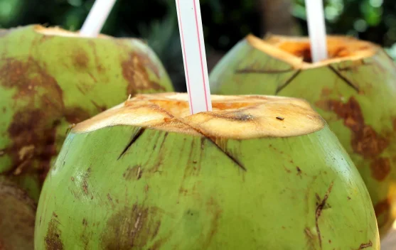 Kesegaran Alami yang Kaya Manfaat: Ini Khasiat Minum Air Kelapa bagi Tubuh
