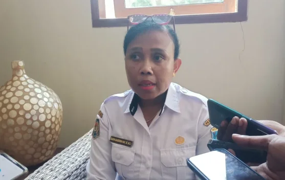 Dinas Koperasi UKM Papua Barat Siapkan UMKM Kaimana Hadapi Era Digital