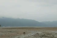 Kabut Asap di Kaimana Meningkat, Damkar Ingatkan Warga Tak Bakar Lahan
