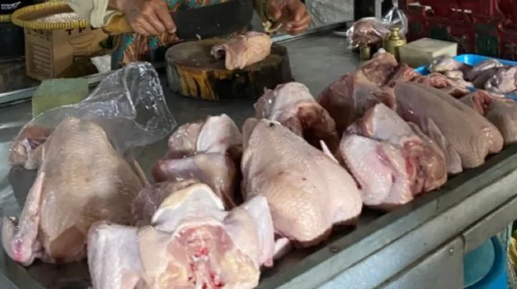 Tradisi Megengan Dorong Kenaikan Harga Ayam di Jombang