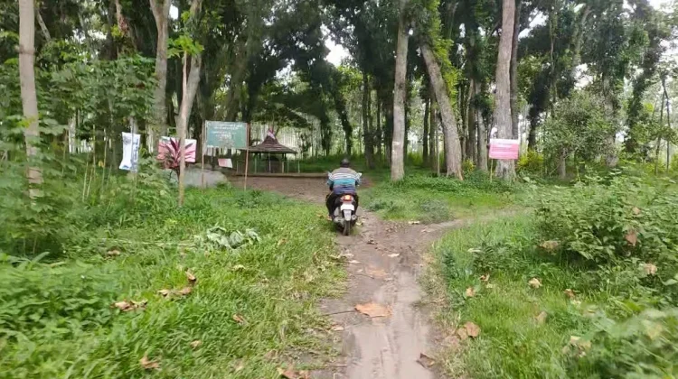 Pembangunan Jalan Sekitar Hutan Harus Izin Kemenhut