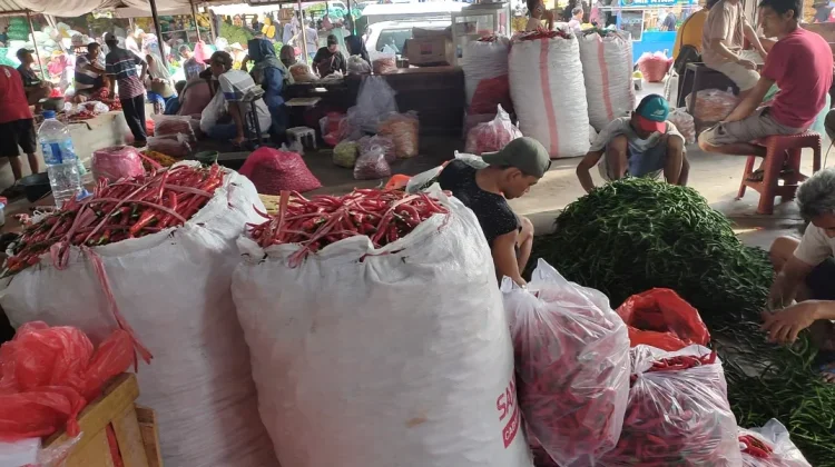 Harga Cabai di Kediri Turun Pengaruh Pasokan dari Banyuwangi
