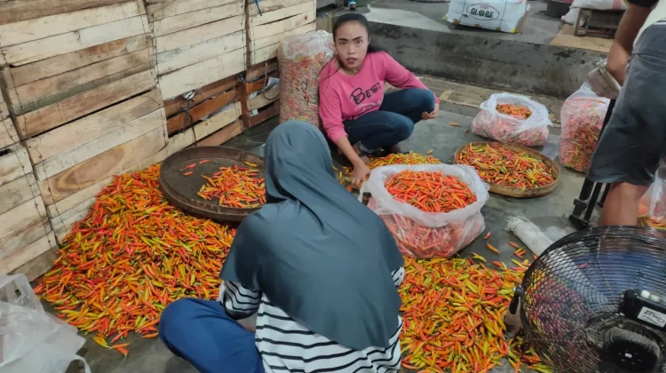 Pasokan Banyuwangi Libur Harga Cabai Rawit Naik