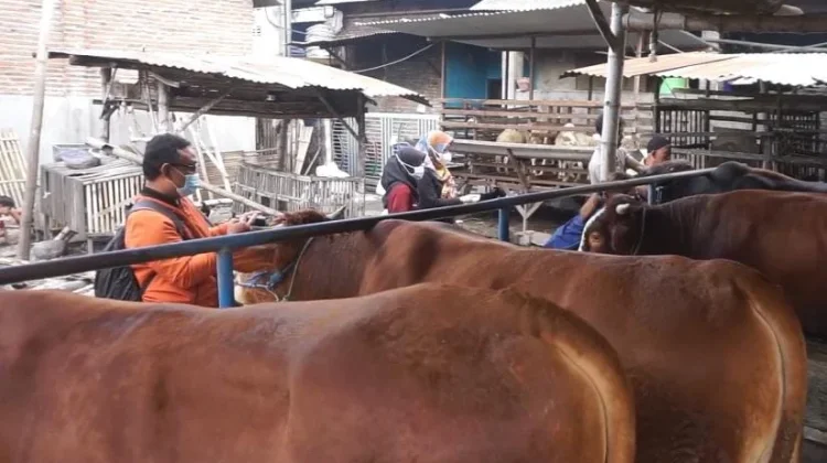 Disnak Jombang Siapkan Implementasi Satu Dusun Satu Wirausaha Baru