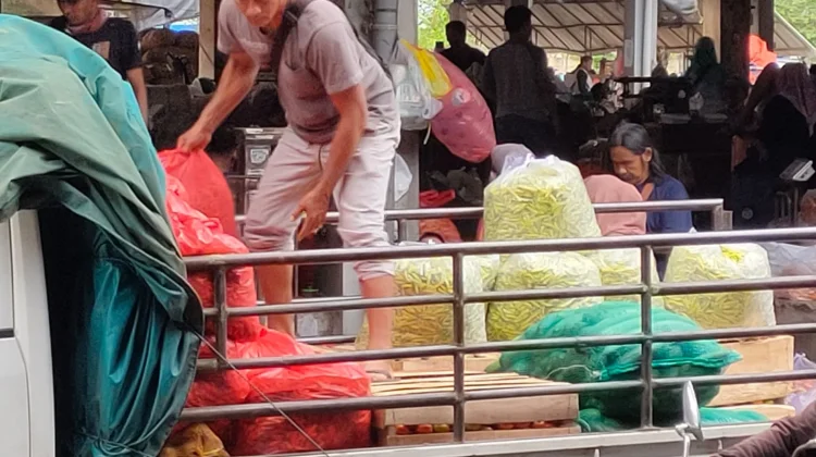 Serapan Meningkat Harga Cabai Kediri Kembali Naik