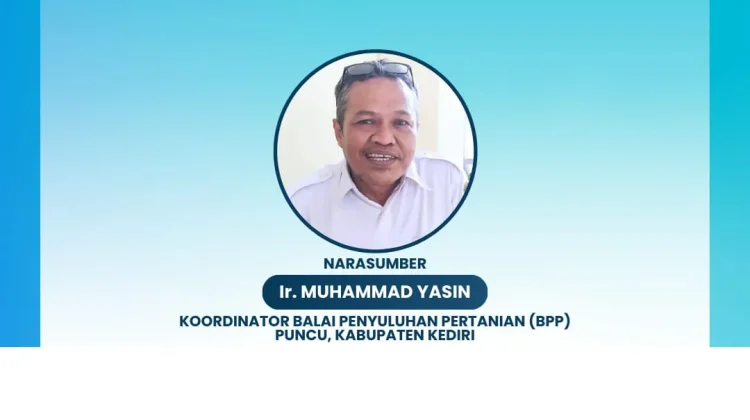 Strategi BPP Puncu Tangani Hama Tanaman