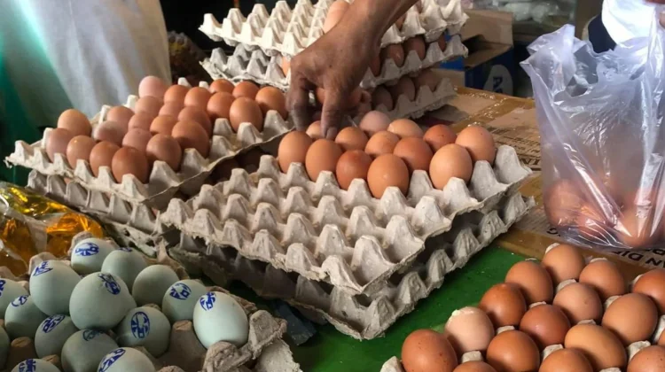 Harga Telur di Jombang Tembus Rp35.000 per Kg