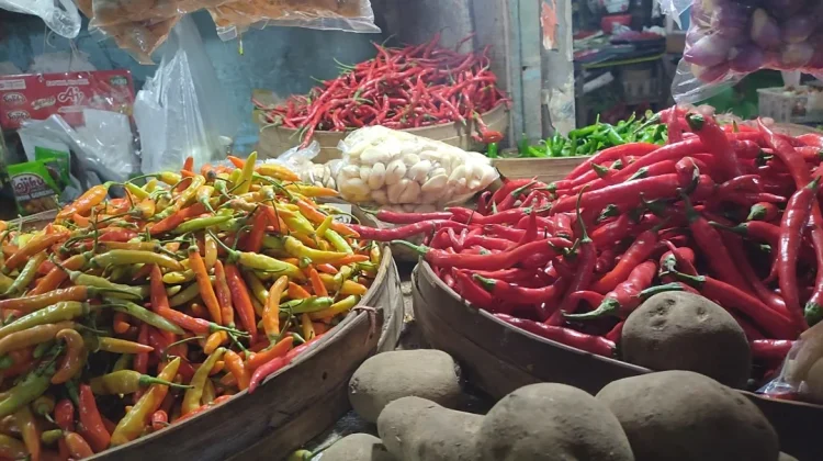 Secara Nasional Produksi Cabai Turun, Harga Cenderung Tinggi