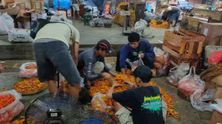 Harga Cabai Rawit di Kediri Turun, Tertinggi Rp57.000