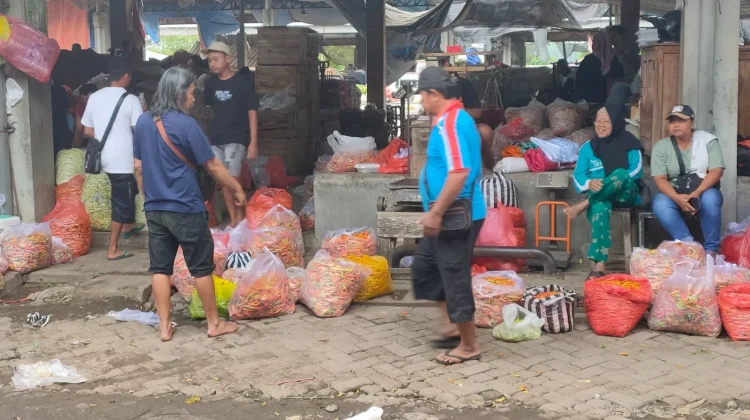 Serapan Industri Normal Picu Kenaikan Harga Cabai