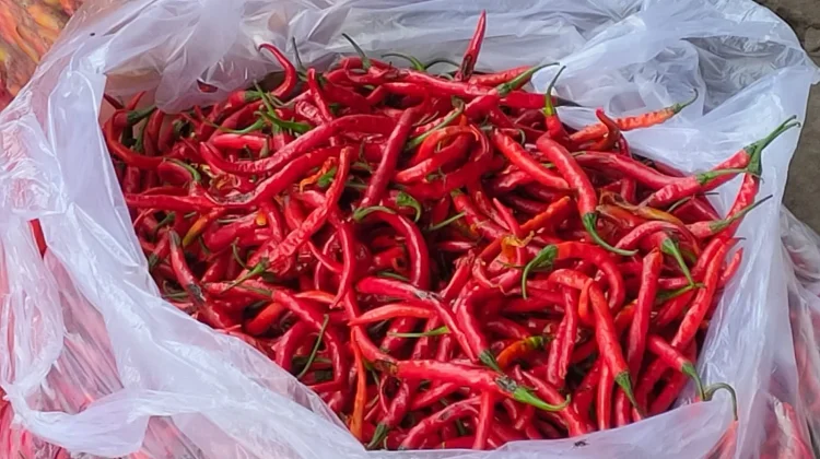 Kondisi Pasar Sepi Harga Cabai di Kediri Turun