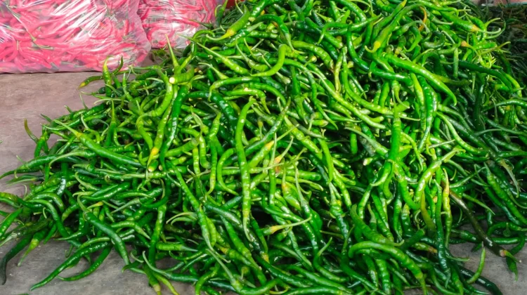 Pengiriman Mulai Lancar, Harga Cabai di Kediri Stabil