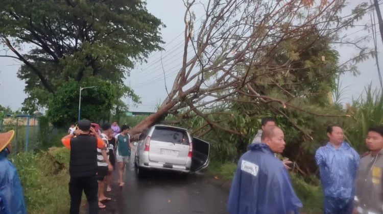 Dampak Cuaca Ekstrem, 18 Pohon Tumbang di Kota Kediri