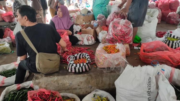 Harga Cabai di Pasar Induk Kediri Turun