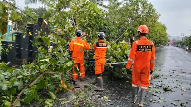13 Titik di Kota Kediri Terdampak Hujan Angin