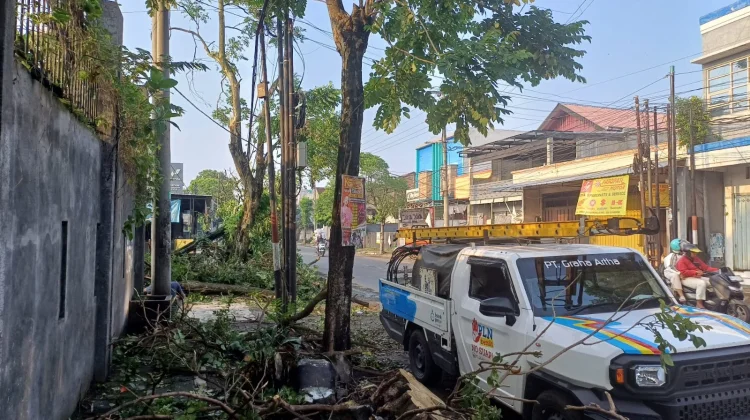 Hujan Angin Landa Kota Kediri, Puluhan Pohon Tumbang