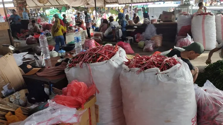 Serapan Industri Normal Harga Grosir Cabai di Kediri Stabil