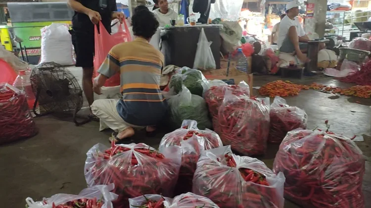 Pasokan Bertambah 3 Ton Harga Cabai Rawit Turun di Kediri