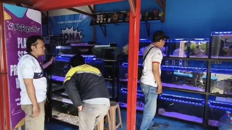 Warga Inginkan Pasar Ikan Hias SLG jadi Ikon Wisata Baru