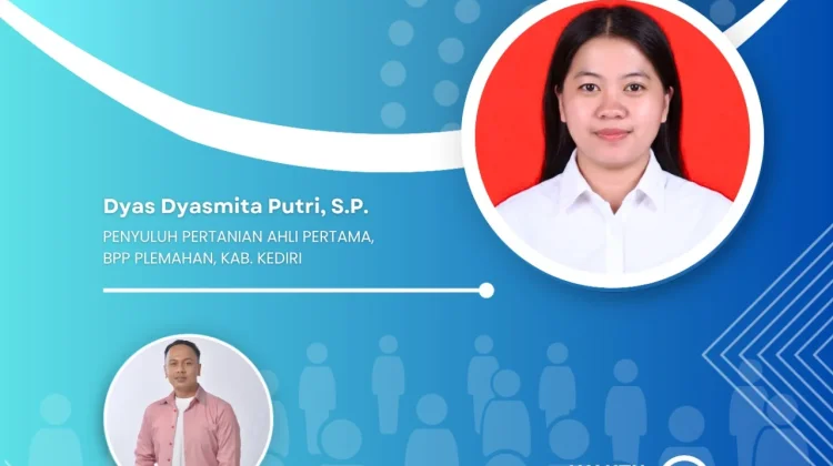 Pendekatan MTS menuju Agroekosistem Pertanian Berkelanjutan
