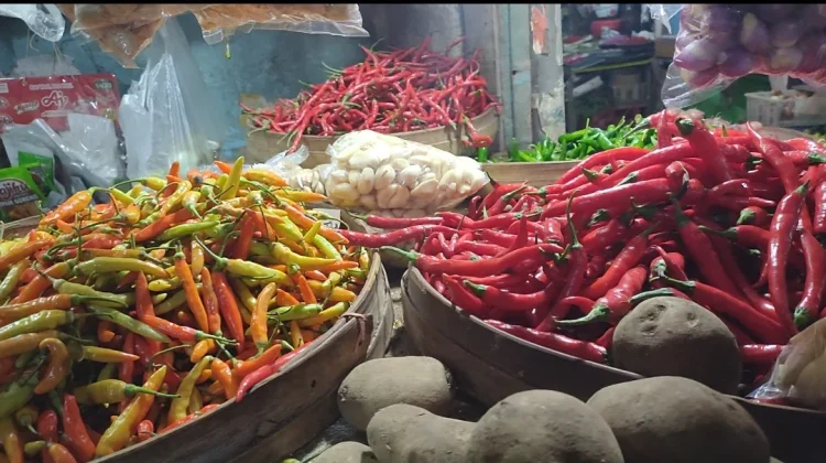 Harga Grosir Cabai di Kediri Alami Fluktuasi Harga Rp2.000