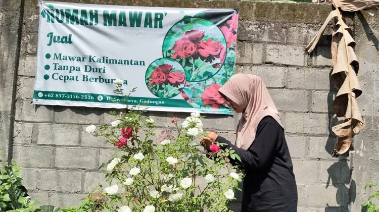 Rawat Ibu Pengidap Tumor Otak, Atlet Kriket Kediri Jualan Mawar Demi Kuliah