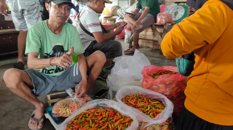 Harga Grosir Cabai Rawit di Pasar Kediri Naik Rp9.000