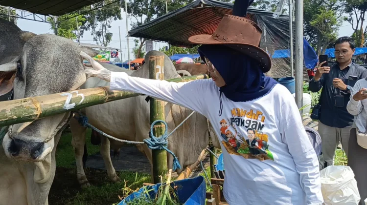Menjelang Idul Adha, Kabupaten Kediri Perketat Lalu Lintas Ternak
