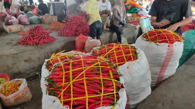 Harga Cabai di Kediri Stabil Tertinggi Rp58.000 per Kilogram