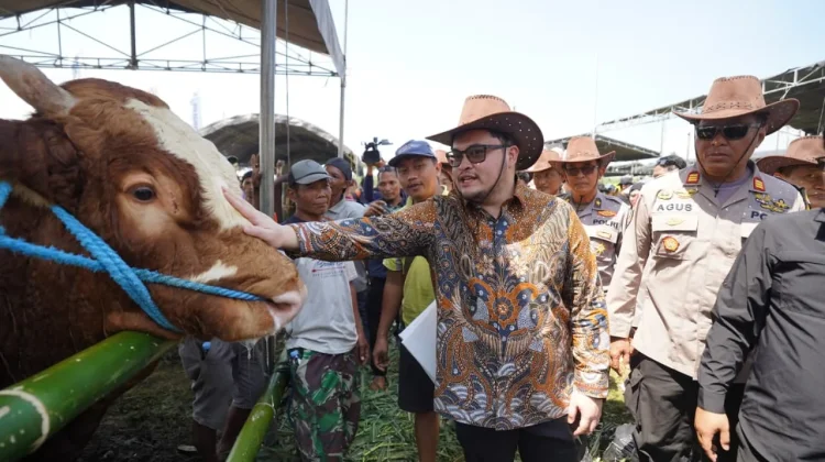 Kontes Ternak Sapi di Kabupaten Kediri Ditarget Menjadi Agenda Tahunan