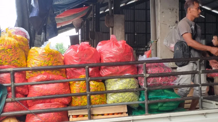 Pengiriman Jabodetabek Lancar, Harga Cabai di Kediri Stabil
