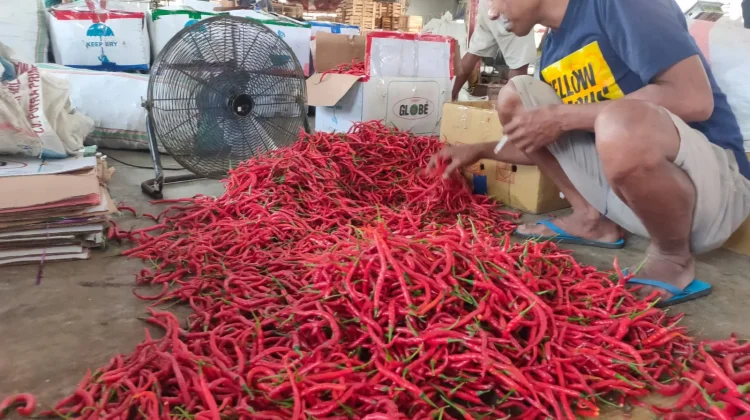 Harga Cabai Besar di Kediri Naik Rp2.000