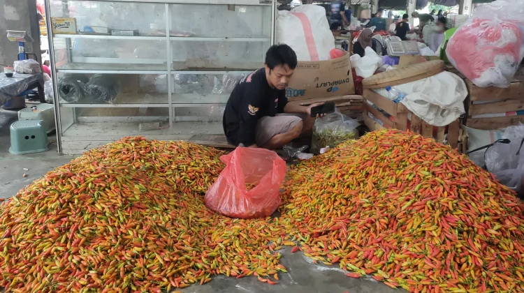Harga Cabai di Kediri Stabil, Tertinggi Rp78.000 Per Kilogram