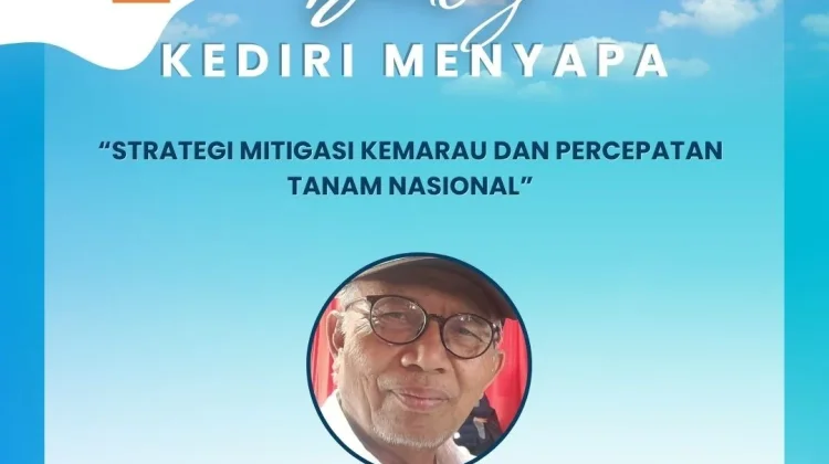 Bukan Ancaman, Ini Alasan Kemarau Justru Menguntungkan Petani