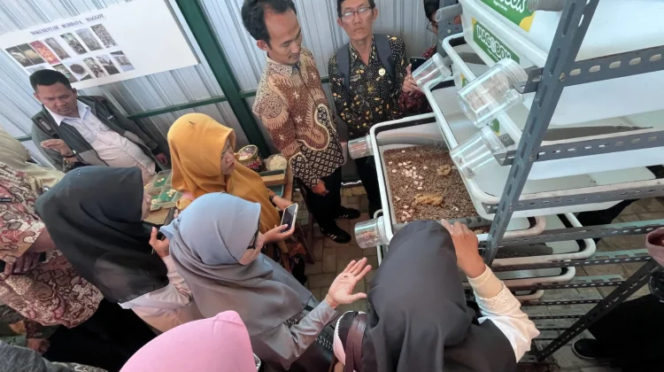 Maggot Jadi Alternatif Kurangi Sampah Sisa MBG di Sekolah