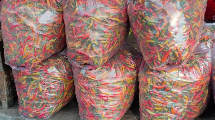 Harga Cabai Rawit di Pasar Induk Pare Kediri Turun Tipis