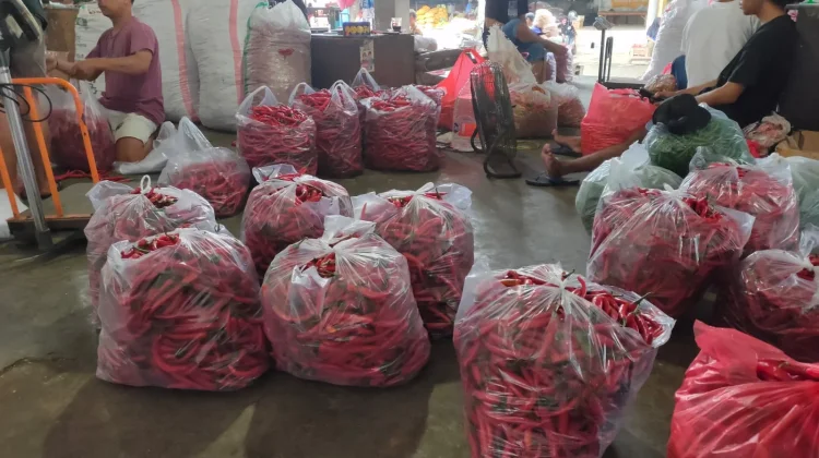 Serapan Jabodetabek dan Industri Libur, Harga Cabai Rawit di Kediri Turun