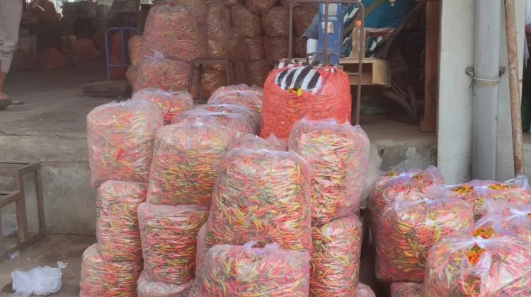 Harga Cabai Rawit di Kediri Turun karena Pasokan Bertambah