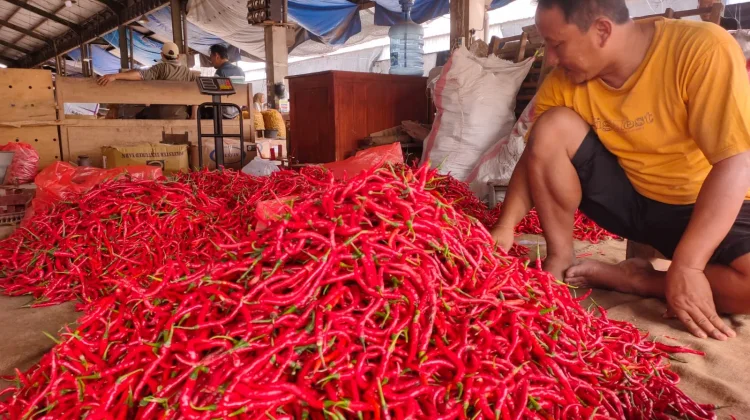 Harga Cabai Merah Besar di Kediri Naik Rp8.000