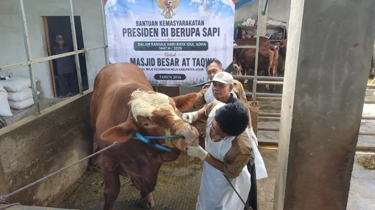 DKPP Kabupaten Kediri Periksa Sapi Kurban Bantuan Presiden Prabowo Subianto