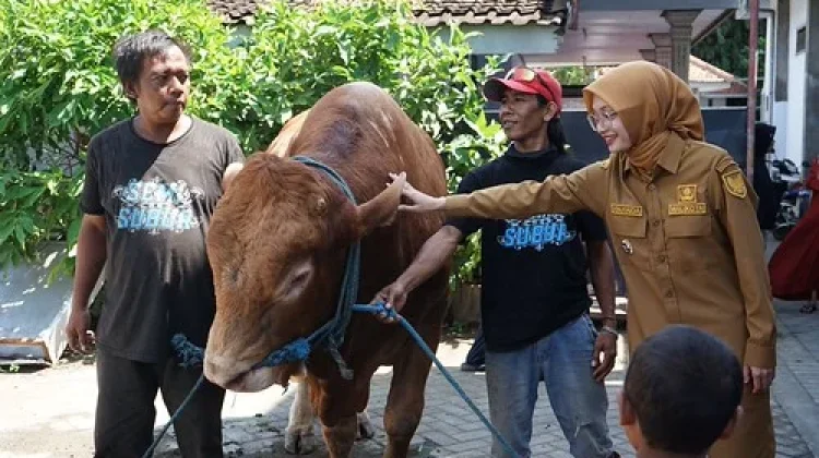 Pemkot Kediri Salurkan 25 Hewan Kurban