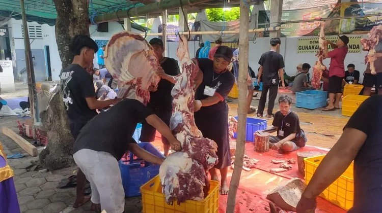 Kesadaran Berkurban Meningkat, Masjid Al-Ikhlash Ngadiluwih Sembelih 13 Sapi