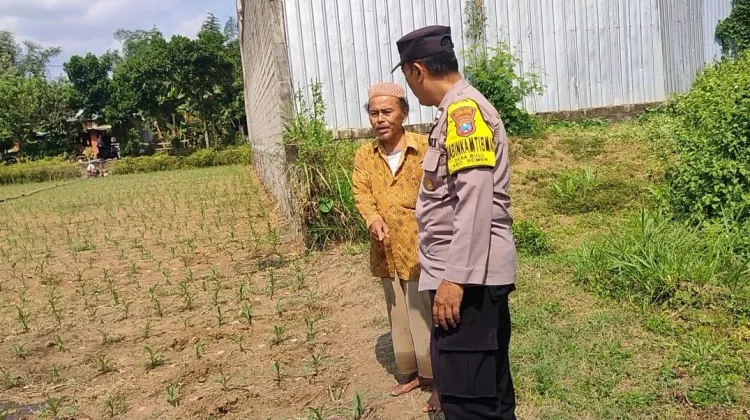 Polisi Kediri Turun Sawah Dampingi Petani Jaga Pangan